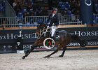 Maher_Wings Sublieme_Verona2014_SS7_7021.jpg : FIERA CAVALLI 2014, MAHER Ben, WINGS SUBLIEME, foto di Stefano Secchi ©